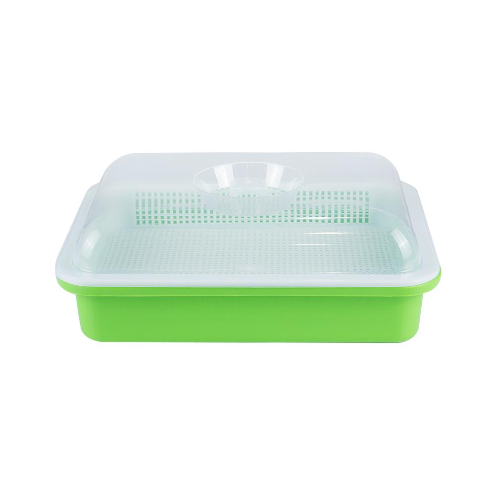 ถาดเพาะต้นอ่อนพร้อมฝาปิด SPRING สีเขียว