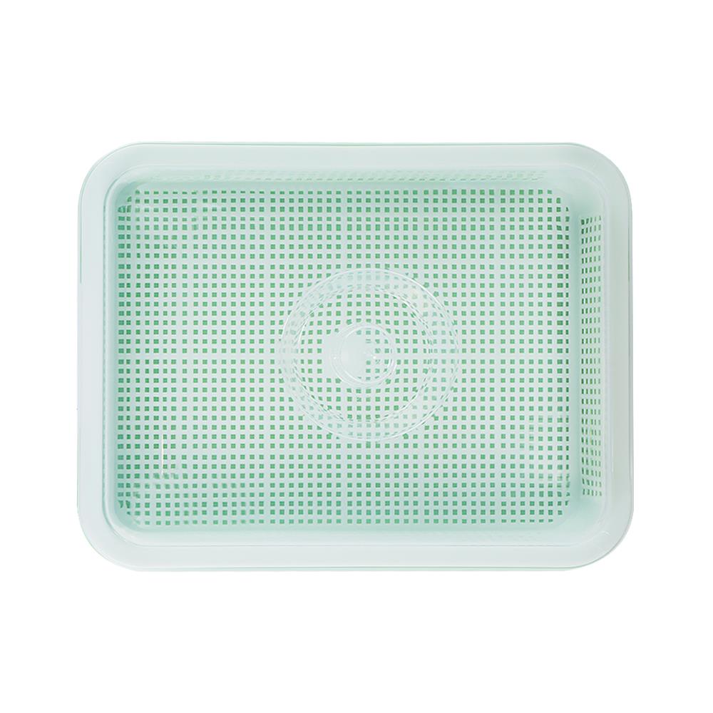 ถาดเพาะต้นอ่อนพร้อมฝาปิด SPRING สีเขียว