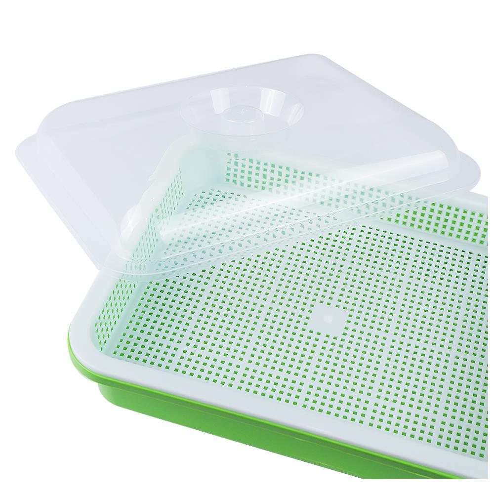 ถาดเพาะต้นอ่อนพร้อมฝาปิด SPRING สีเขียว