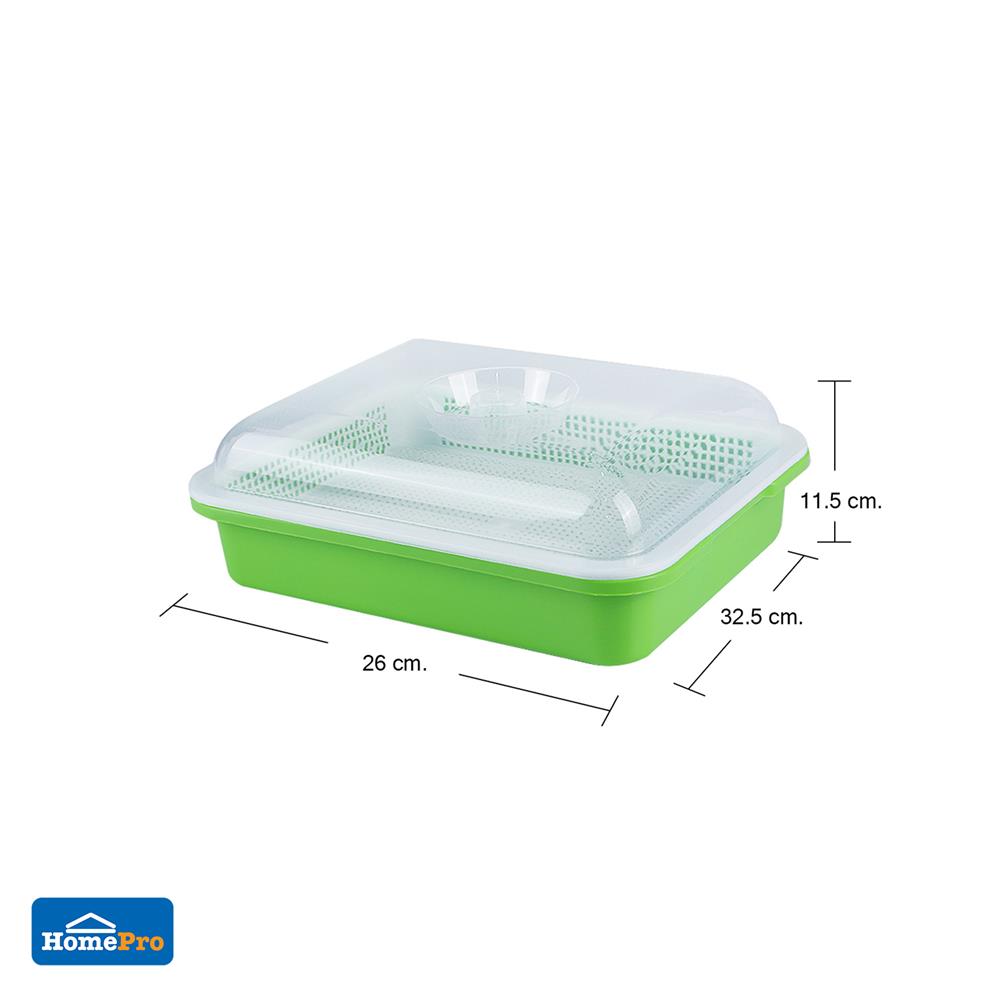 ถาดเพาะต้นอ่อนพร้อมฝาปิด SPRING สีเขียว