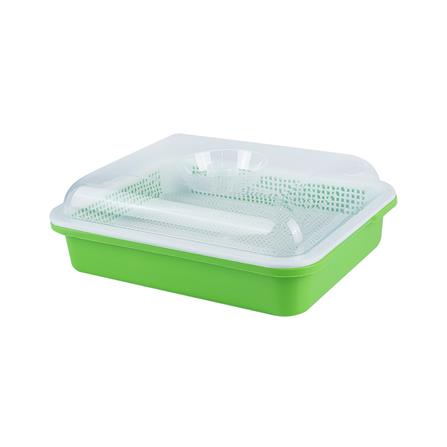 ถาดเพาะต้นอ่อนพร้อมฝาปิด SPRING สีเขียว_0