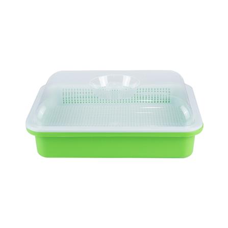 ถาดเพาะต้นอ่อนพร้อมฝาปิด SPRING สีเขียว_1