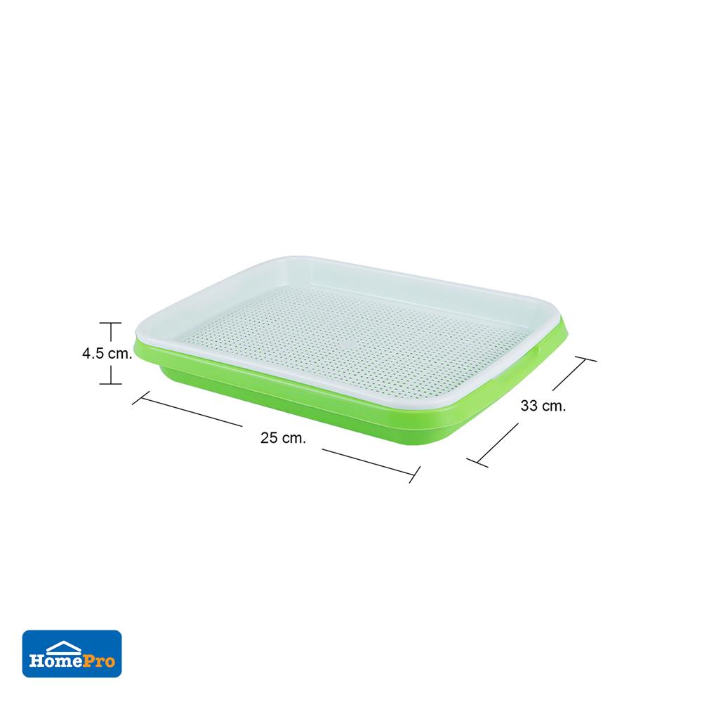 ถาดเพาะต้นอ่อน SPRING สีเขียว