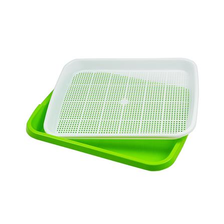 ถาดเพาะต้นอ่อน SPRING สีเขียว_2