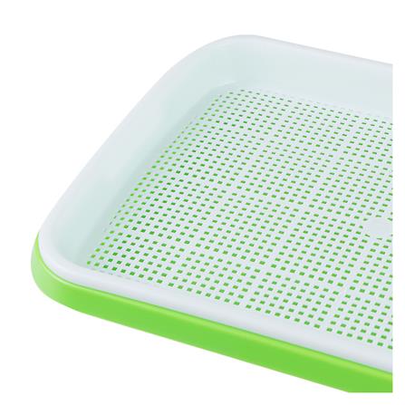 ถาดเพาะต้นอ่อน SPRING สีเขียว_4