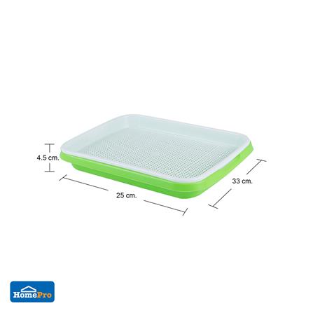 ถาดเพาะต้นอ่อน SPRING สีเขียว_6