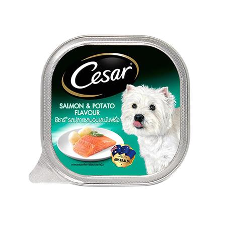 อาหารเปียกสุนัข CESAR SALMON WITH POTATO 100 ก.