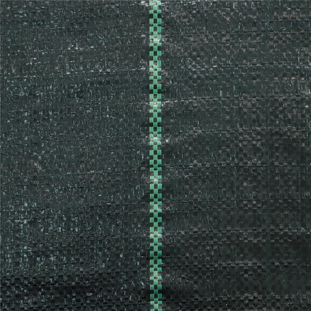 พลาสติกคลุมวัชพืช SPRING 2x50 ม. สีดำ