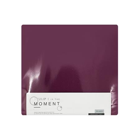 ชุดผ้าปูที่นอน 6 ฟุต 5 ชิ้น TULIP IN THE MOMENT 60049-DL409_3