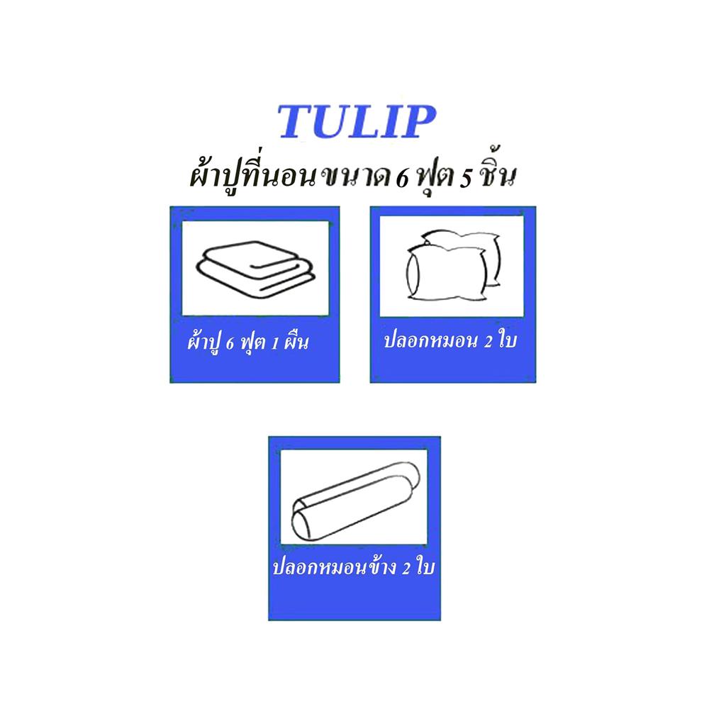 ชุดผ้าปูที่นอน 6 ฟุต 5 ชิ้น TULIP IN THE MOMENT 60049-DL401