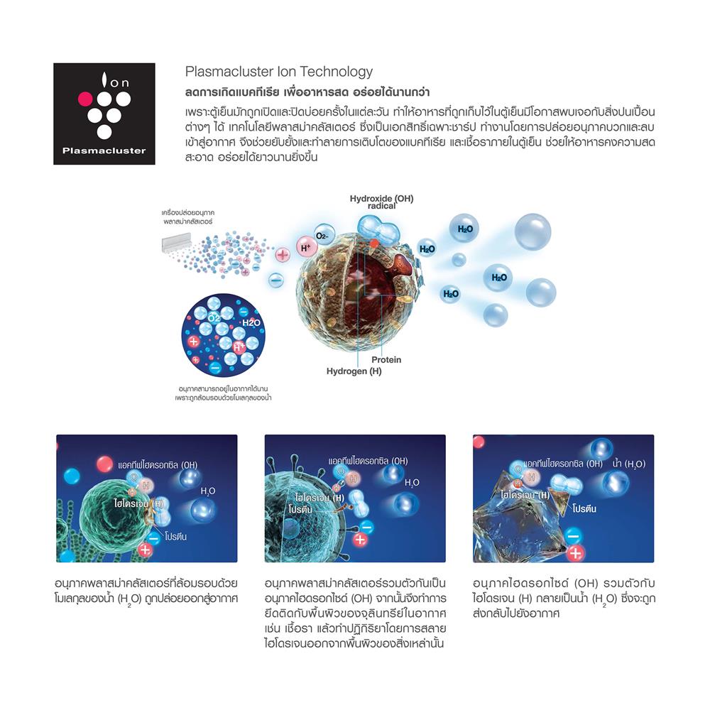 ตู้เย็น MULTI DOOR SHARP SJ-FX57GP-BK 20.2 คิว กระจกดำ อินเวอร์เตอร์