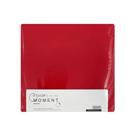 ชุดผ้าปูที่นอน 3.5 ฟุต 3 ชิ้น TULIP IN THE MOMENT 60051-DL403_3