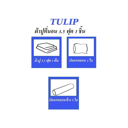 ชุดผ้าปูที่นอน 3.5 ฟุต 3 ชิ้น TULIP IN THE MOMENT 60051-DL403_4