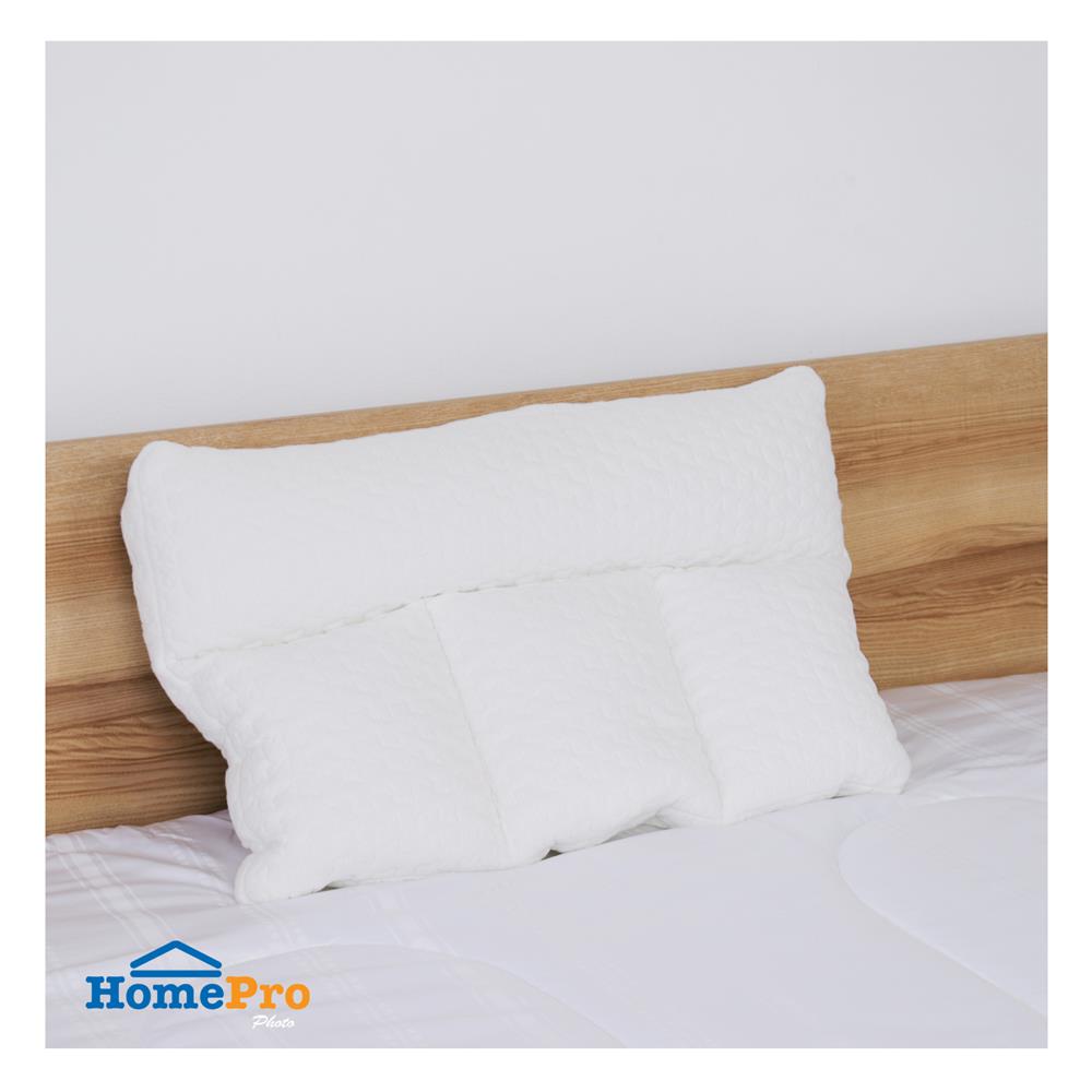 หมอนสุขภาพ PE HOME LIVING STYLE TRINITY 73x48x8 ซม. สีขาว