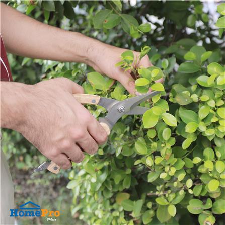 กรรไกรตัดกิ่งปากตรง SPRING WP02011_6