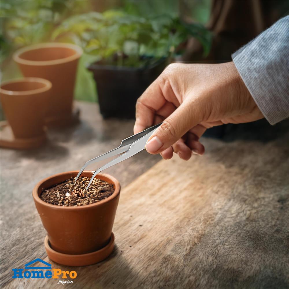 คีมหนีบเมล็ด SPRING WP02025