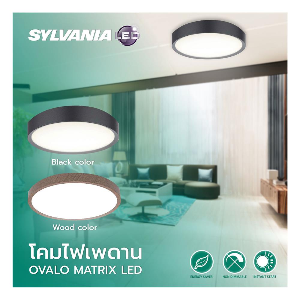 ไฟเพดาน LED SYLVANIA OVALO MATRIX BLACK 19 นิ้ว 36 วัตต์ DAYLIGHT สีดำ