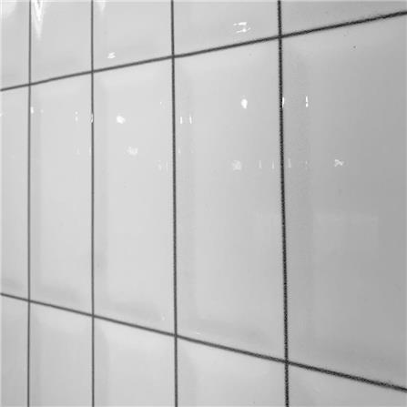 กระเบื้องผนัง 25x40ซม. TARA วิคตอเรีย ไวท์_1