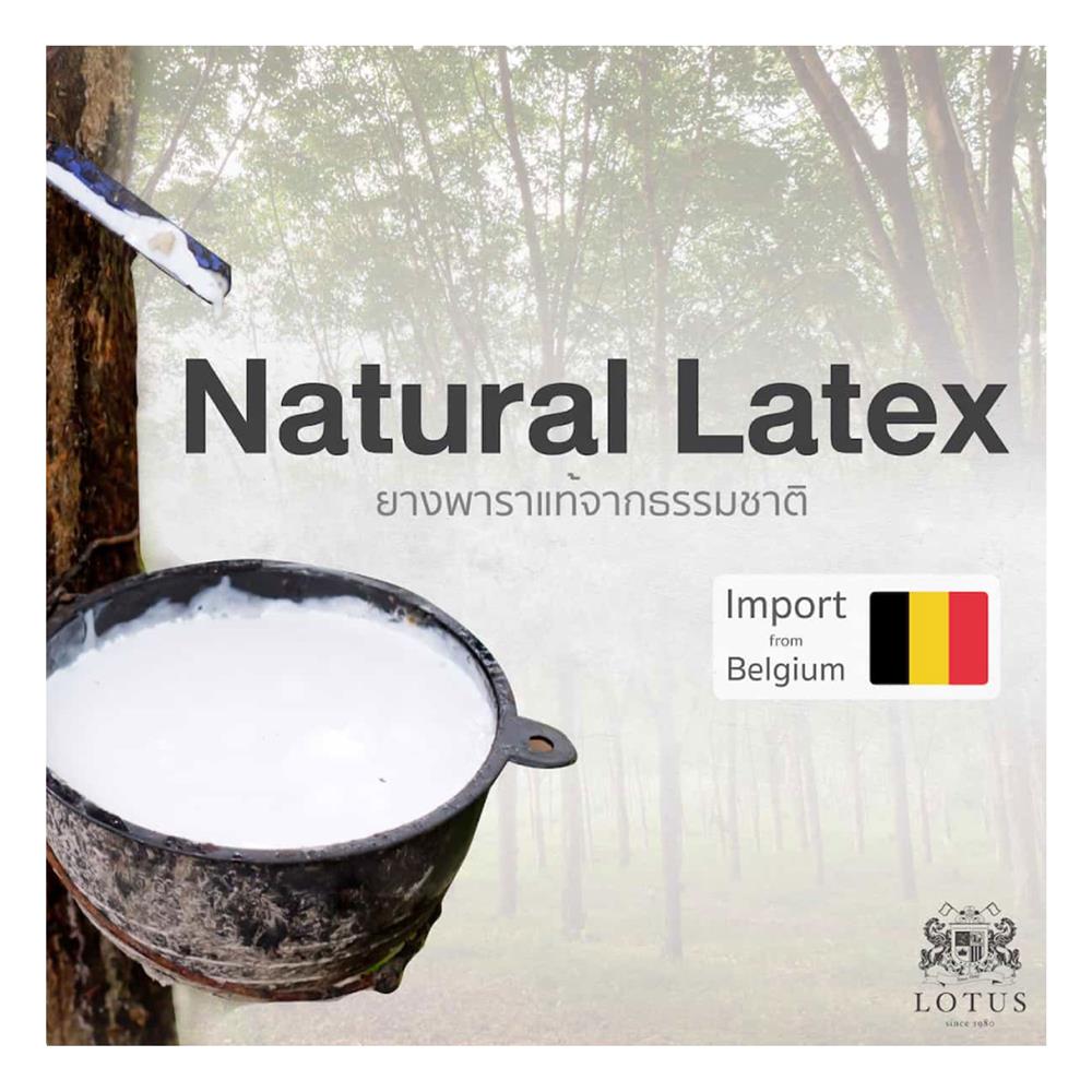 ที่นอน 5 ฟุต LOTUS SPRING FREE I PLUS พร้อมหมอนหนุน 2 ชิ้น