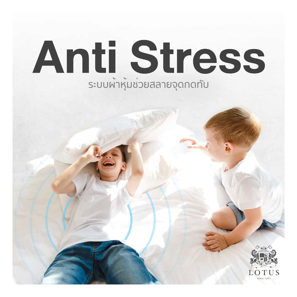 ที่นอน 5 ฟุต LOTUS SPRING FREE I PLUS พร้อมหมอนหนุน 2 ชิ้น