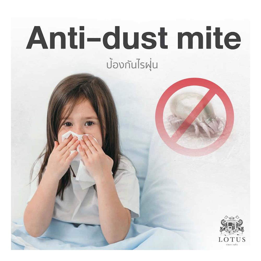 ที่นอน 5 ฟุต LOTUS SPRING FREE I PLUS พร้อมหมอนหนุน 2 ชิ้น