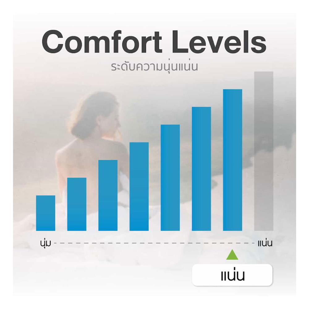 ที่นอน 3.5 ฟุต LOTUS SPRING FREE I PLUS พร้อมหมอนหนุน 1 ชิ้น