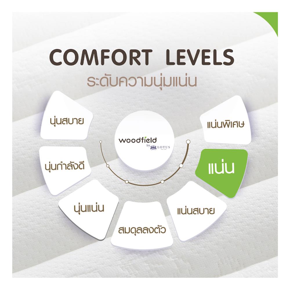 ที่นอน 5 ฟุต WOODFIELD E-HYBRID-S พร้อมหมอนหนุน 2 ชิ้น