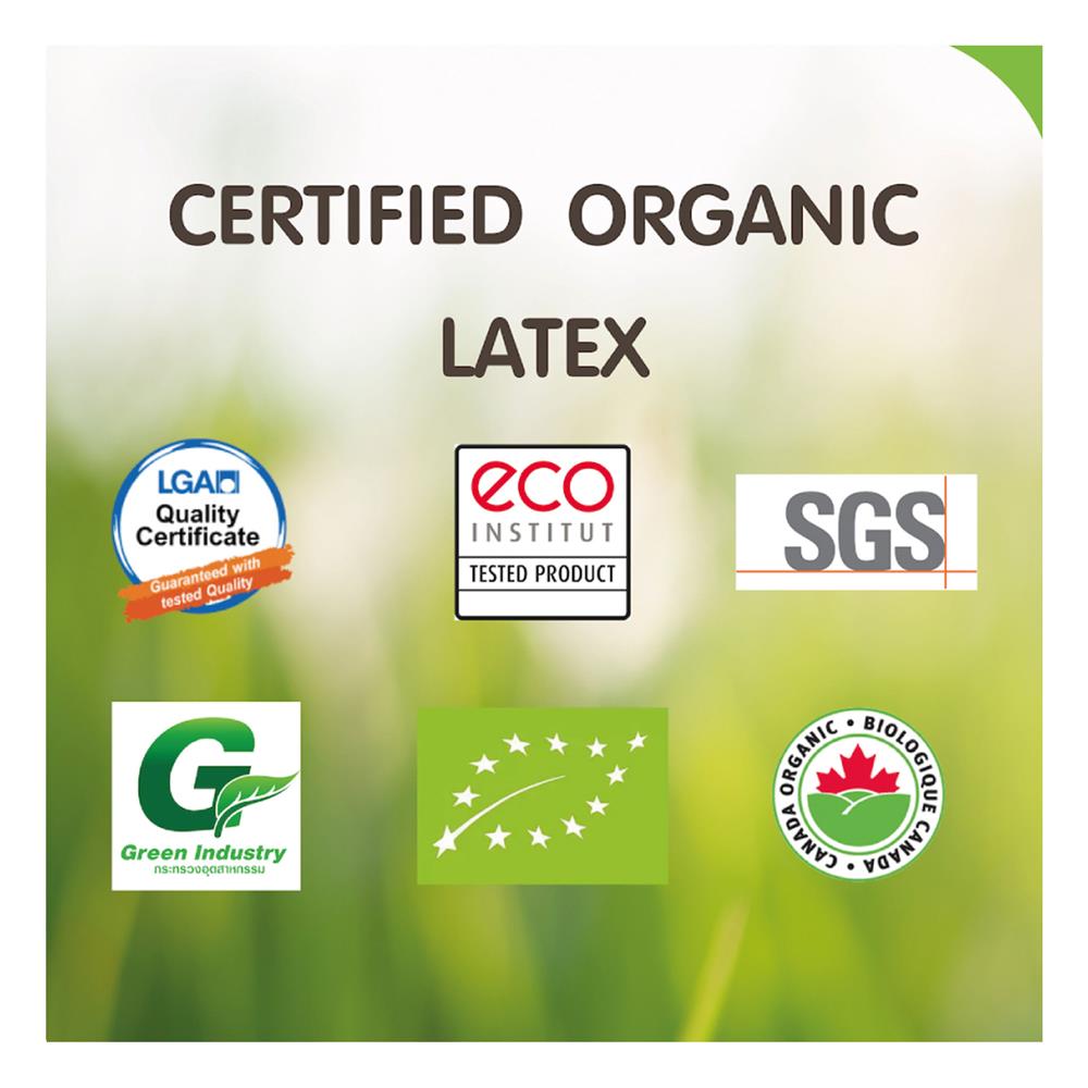 ที่นอน 6 ฟุต WOODFIELD E-HYBRID-S พร้อมหมอนหนุน 2 ชิ้น