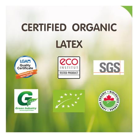 ที่นอน 6 ฟุต WOODFIELD E-HYBRID-S พร้อมหมอนหนุน 2 ชิ้น_10