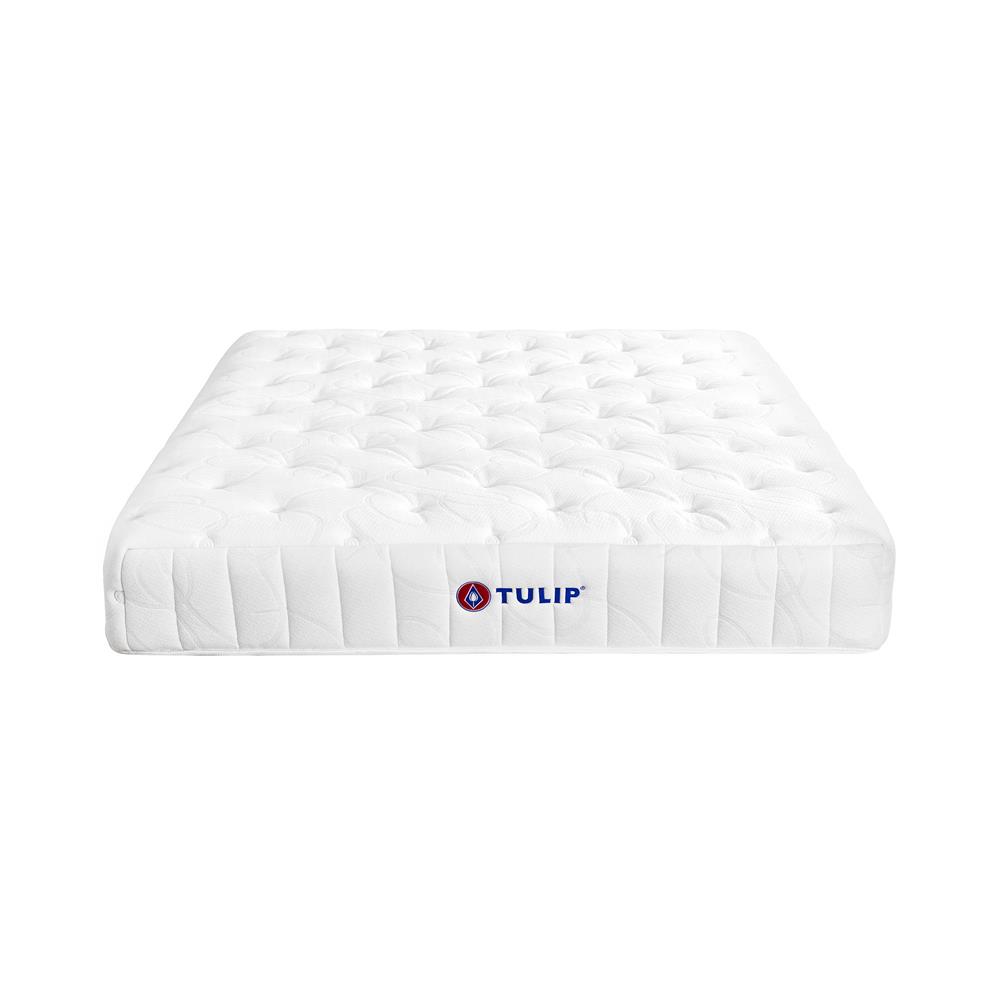 ที่นอน 5 ฟุต TULIP VICTORIA