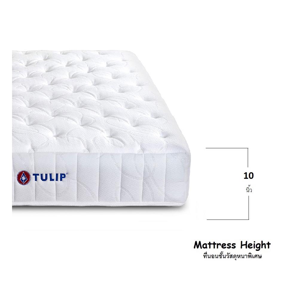 ที่นอน 3.5 ฟุต TULIP VICTORIA