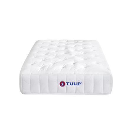 ที่นอน 3.5 ฟุต TULIP VICTORIA_1