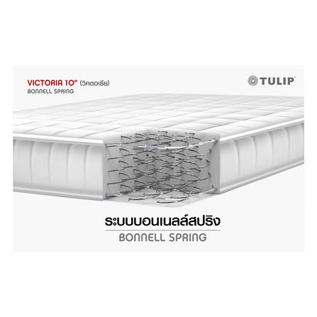 ที่นอน 3.5 ฟุต TULIP VICTORIA_4