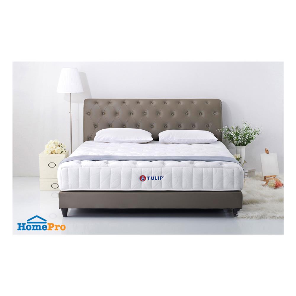 ที่นอน 6 ฟุต TULIP VICTORIA