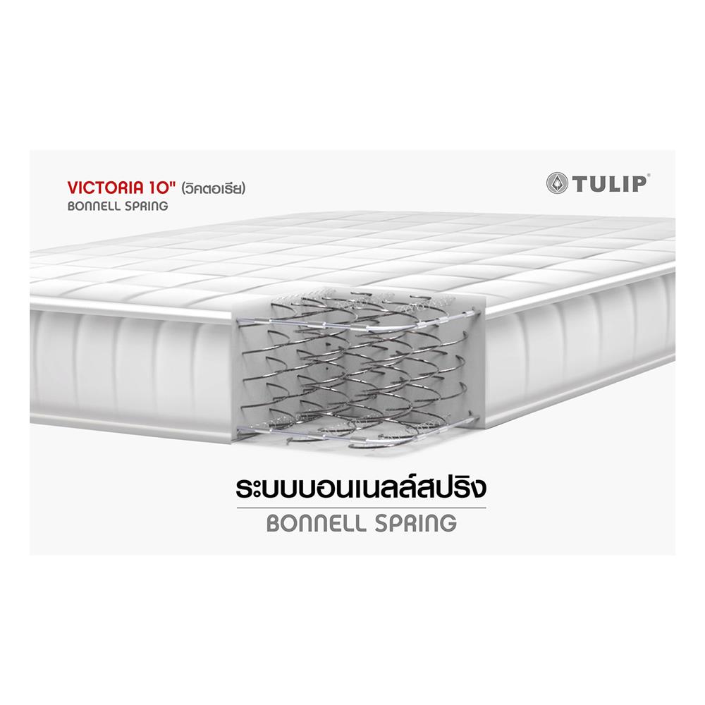 ที่นอน 6 ฟุต TULIP VICTORIA