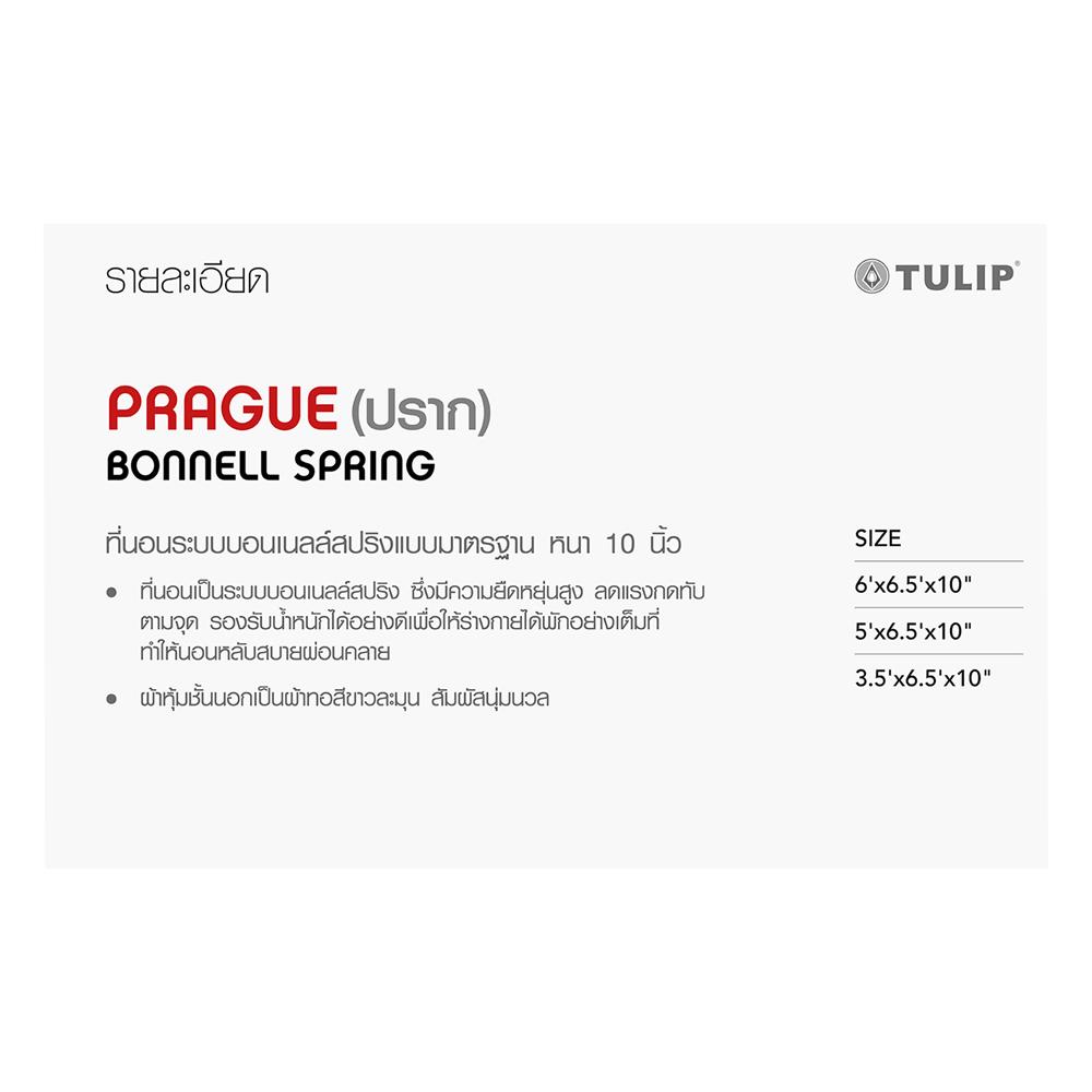 ที่นอน 3.5 ฟุต TULIP PRAGUE