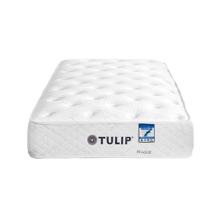 ที่นอน 3.5 ฟุต TULIP PRAGUE_1