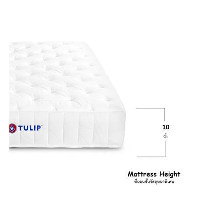 ที่นอน 3.5 ฟุต TULIP PRAGUE_7