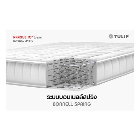 ที่นอน 3.5 ฟุต TULIP PRAGUE_4