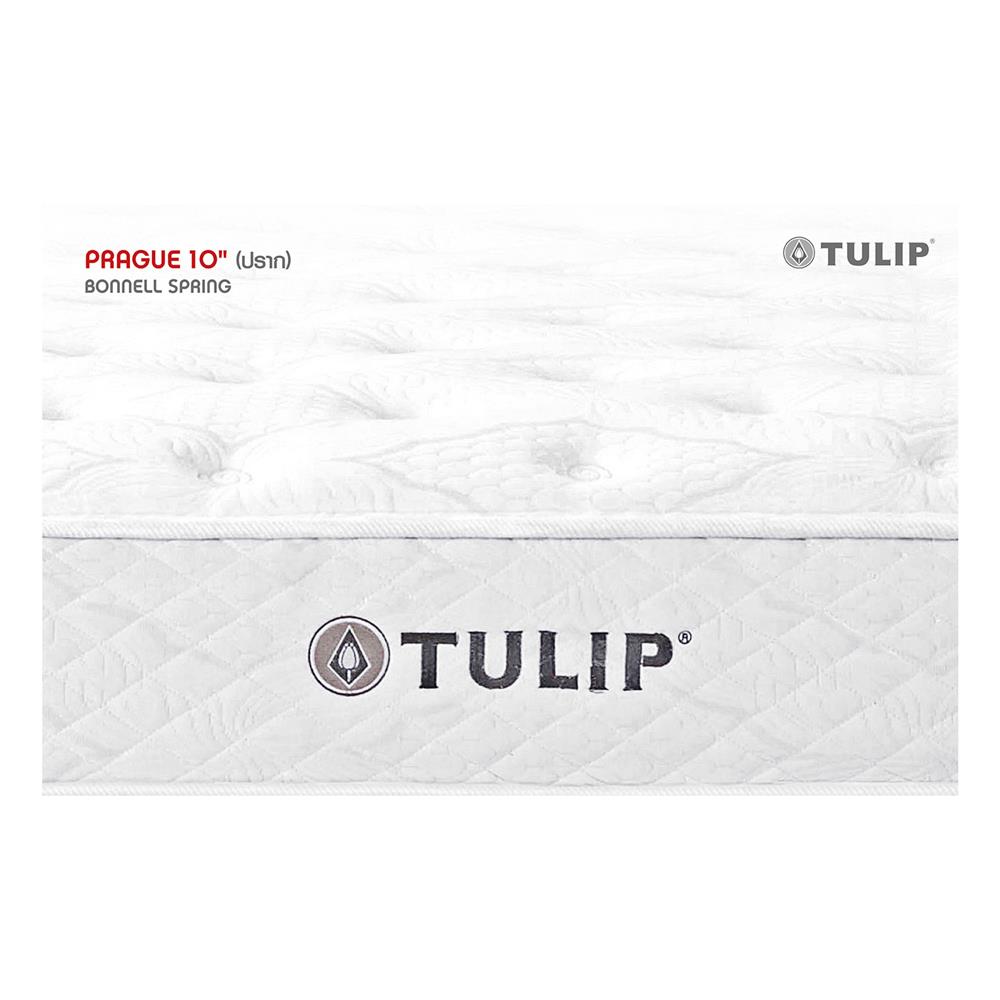 ที่นอน 5 ฟุต TULIP PRAGUE