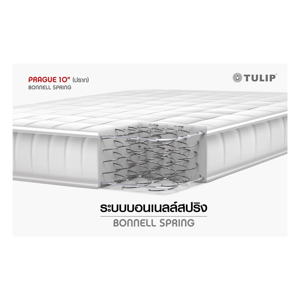 ที่นอน 5 ฟุต TULIP PRAGUE