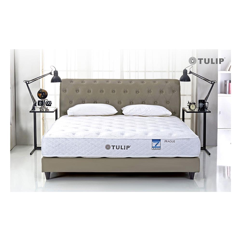 ที่นอน 5 ฟุต TULIP PRAGUE