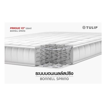 ที่นอน 5 ฟุต TULIP PRAGUE_3