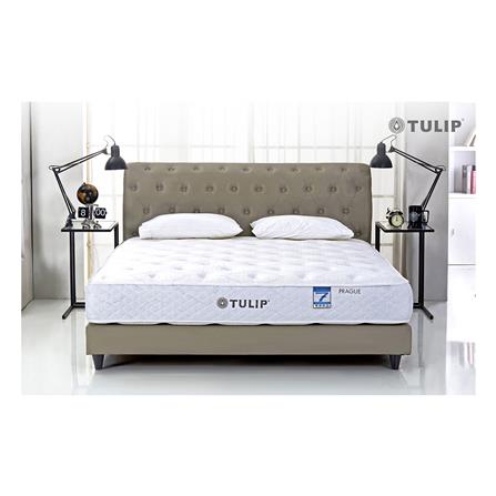ที่นอน 5 ฟุต TULIP PRAGUE_5