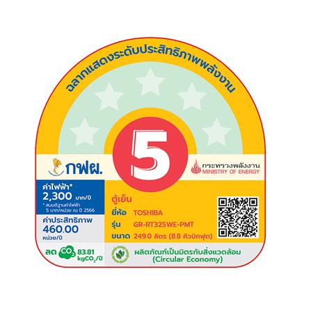 ตู้เย็น 2 ประตู TOSHIBA GR-RT325WE-PMT(06) 8.8 คิว สีเทาเข้ม อินเวอร์เตอร์_4