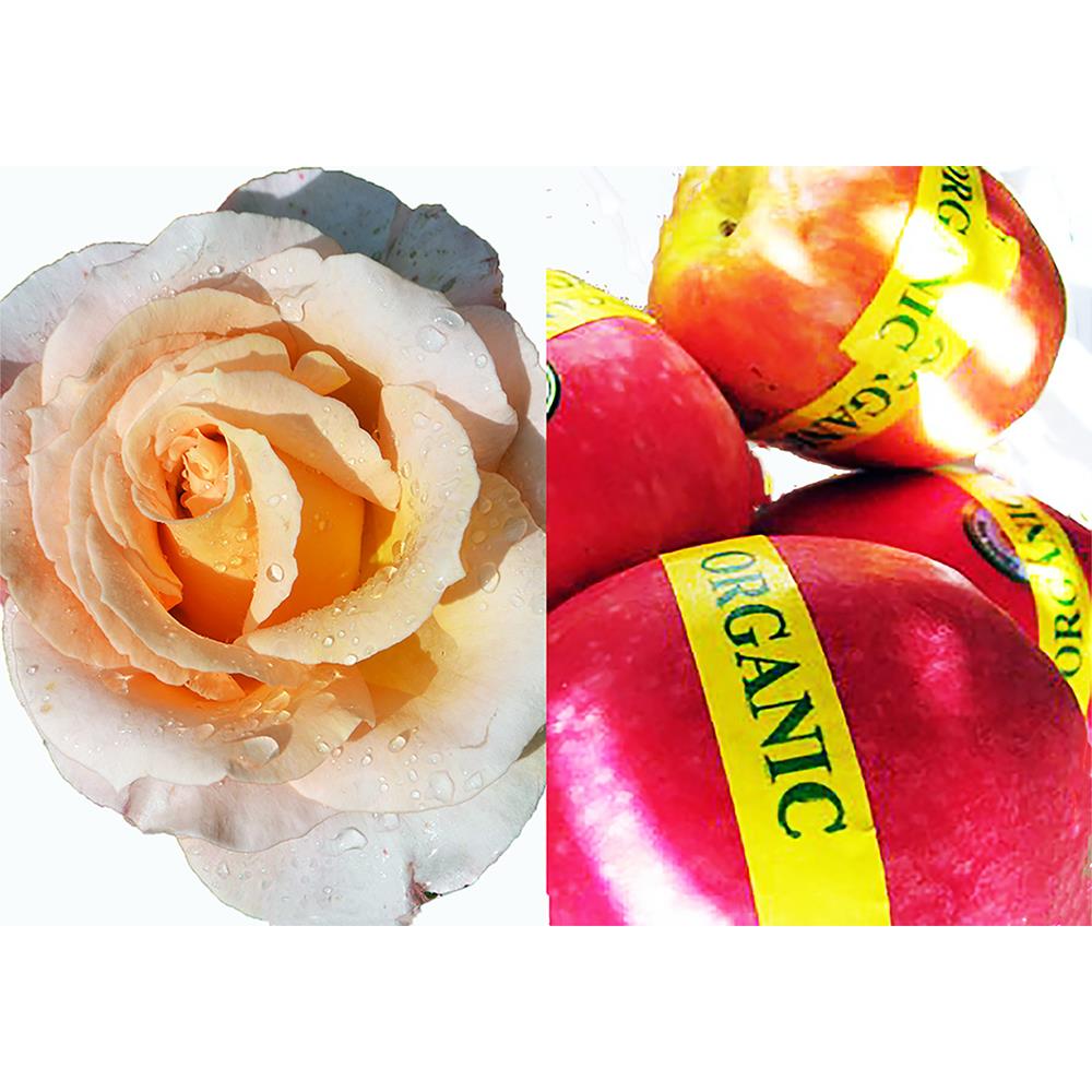 อาหารพืชสาหร่ายทะเลสกัด ไม้ดอกไม้ผล BISON 210 มล.