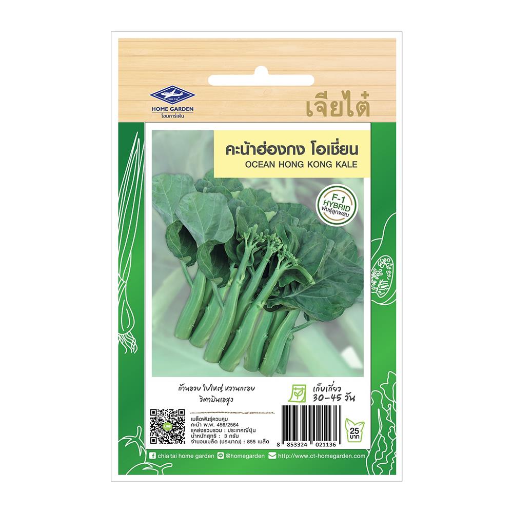 เมล็ดพันธุ์คะน้าฮ่องกงโอเชี่ยน ตราเจียไต๋