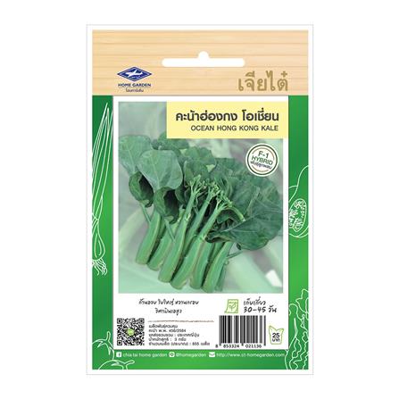 เมล็ดพันธุ์คะน้าฮ่องกงโอเชี่ยน ตราเจียไต๋