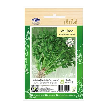 เมล็ดพันธุ์ผักชีโลตัส ตราเจียไต๋