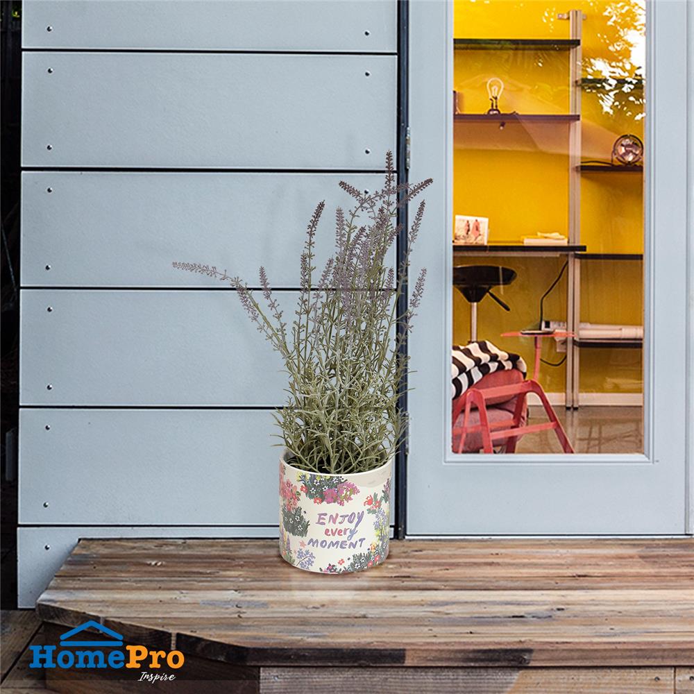 กระถางดินเผา SPRING JEEP 13.8 ซม. สีครีม